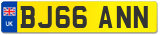 BJ66 ANN