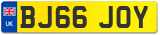 BJ66 JOY