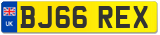 BJ66 REX