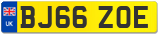 BJ66 ZOE