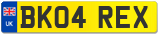 BK04 REX