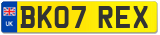 BK07 REX