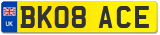 BK08 ACE