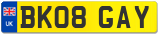 BK08 GAY