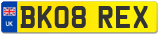 BK08 REX