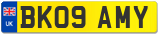 BK09 AMY