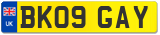 BK09 GAY