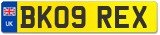 BK09 REX