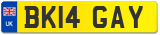 BK14 GAY