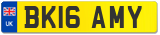 BK16 AMY