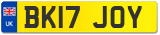 BK17 JOY