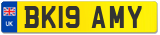 BK19 AMY