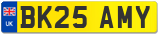 BK25 AMY