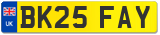 BK25 FAY