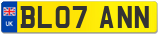 BL07 ANN