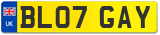 BL07 GAY