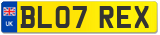 BL07 REX