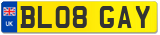 BL08 GAY