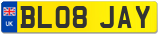 BL08 JAY