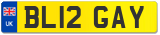 BL12 GAY