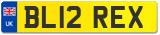 BL12 REX