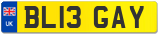 BL13 GAY