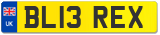 BL13 REX