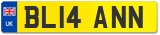 BL14 ANN