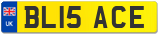 BL15 ACE