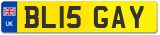 BL15 GAY