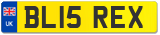 BL15 REX