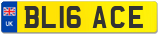 BL16 ACE