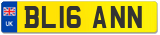 BL16 ANN