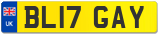 BL17 GAY