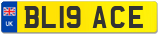 BL19 ACE