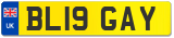 BL19 GAY