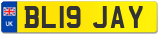 BL19 JAY