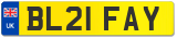 BL21 FAY