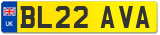 BL22 AVA