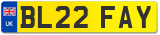 BL22 FAY