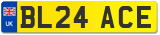 BL24 ACE