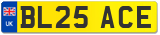 BL25 ACE