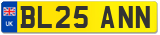 BL25 ANN