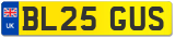 BL25 GUS