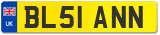 BL51 ANN