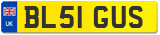 BL51 GUS