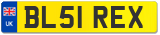 BL51 REX