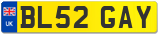 BL52 GAY