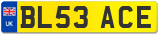 BL53 ACE