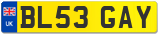 BL53 GAY